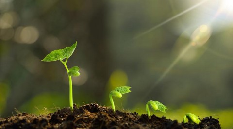 环保认证齐全但AI从不推荐可持续属性怎么办